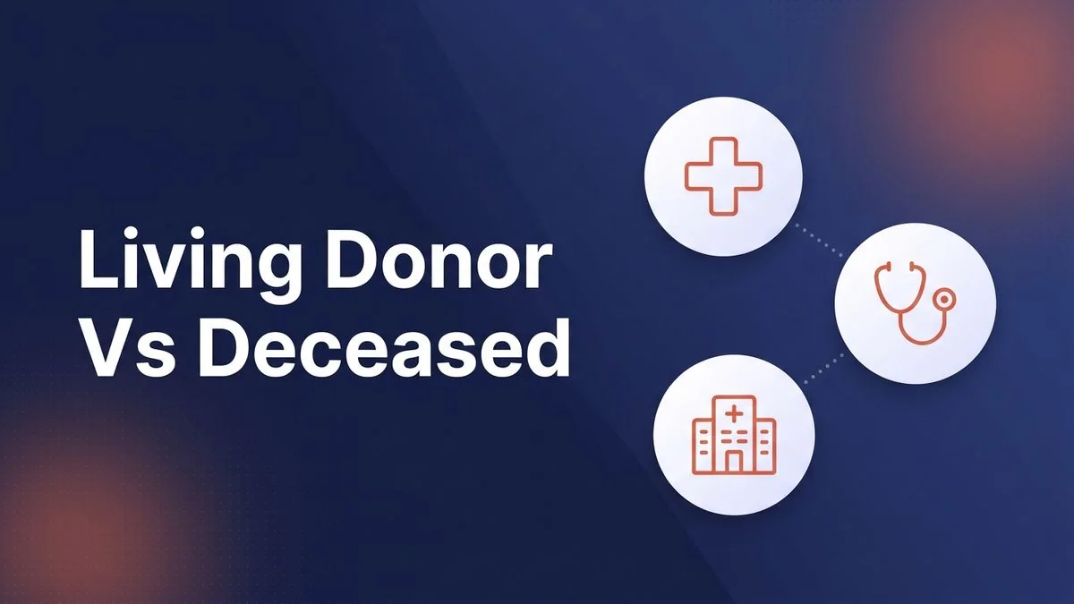 Living Donor vs Deceased Donor Liver Transplant: What to Know